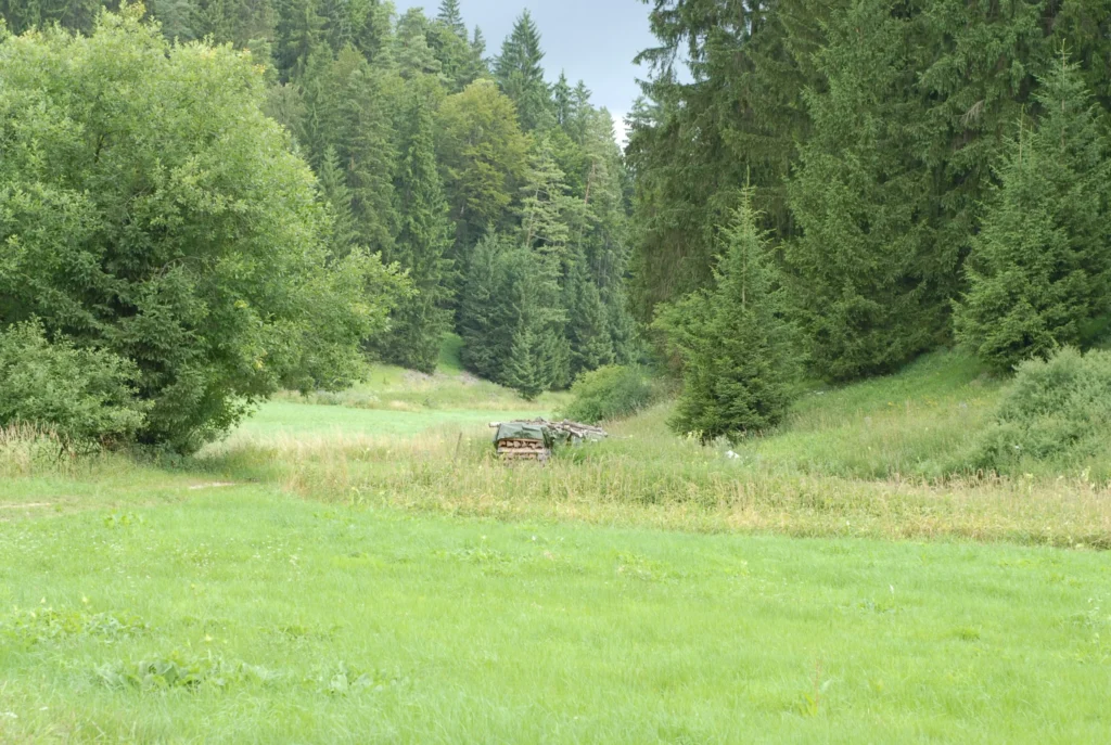 Freizeit genießen im Anlautertal